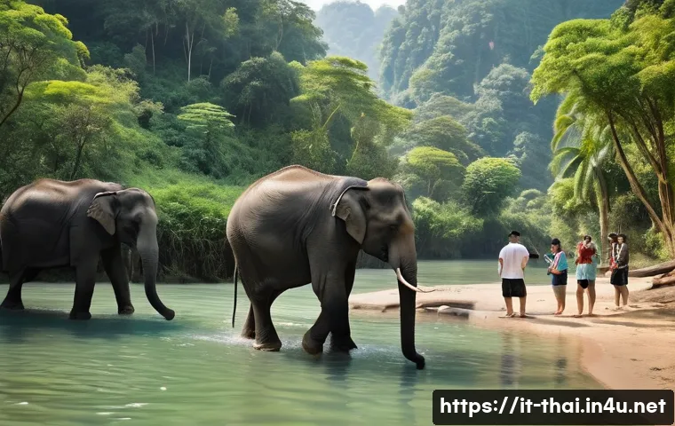 Thailandia interna: le 5 gemme nascoste che devi esplorare subito 3 태국 내륙 여행지 관련 이미지 1