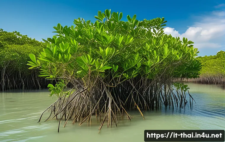 Scopri i segreti della ricerca marina in Thailandia: 7 innovazioni sorprendenti che non conoscevi 3 태국의 해양 생물 연구 관련 이미지 1