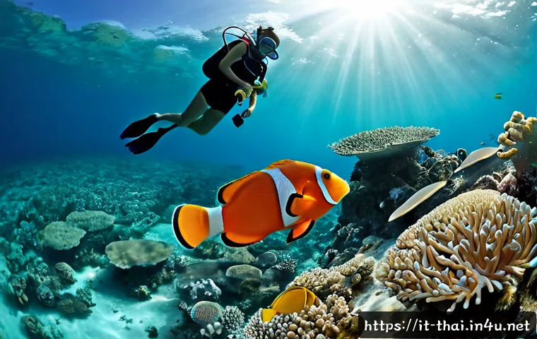 Home 18 태국의 해양 생물 체험 - Photorealistic underwater marine life experience in the clear turquoise waters of Thailand, an Itali...
